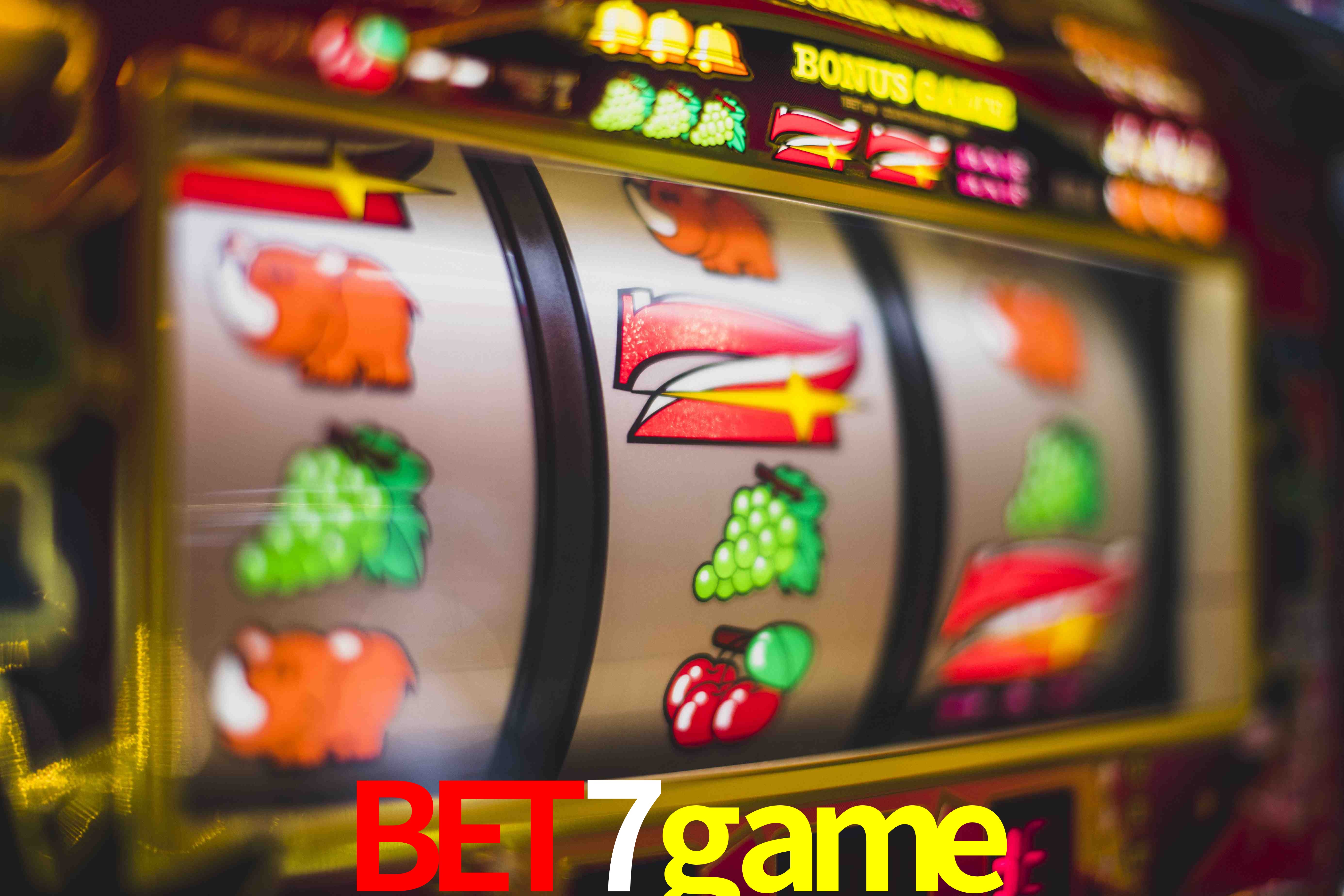 Statistics bet7game